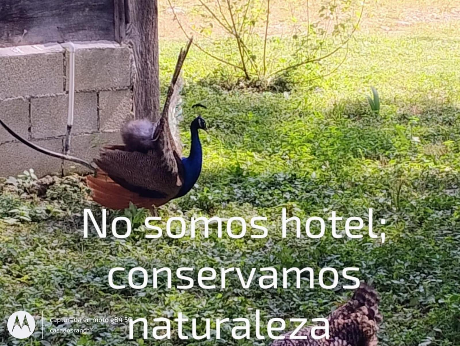Hotel Casados Ranch Escárcega Exterior foto