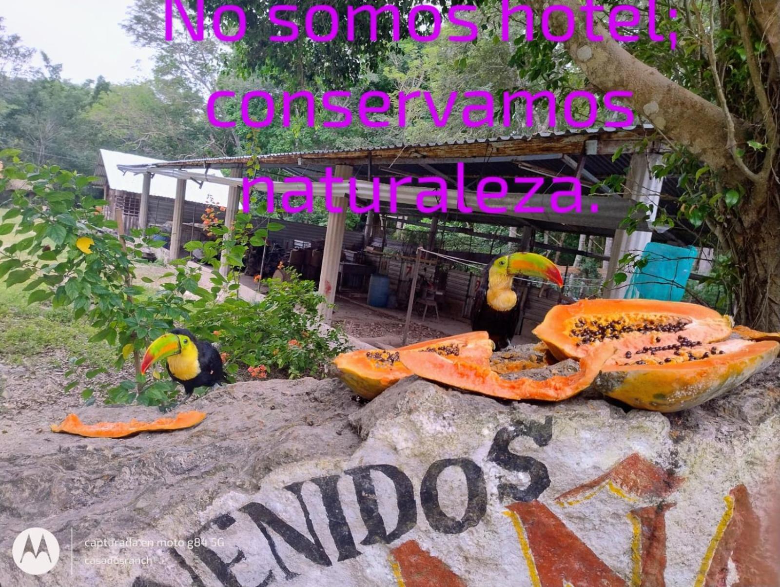 Hotel Casados Ranch Escárcega Exterior foto